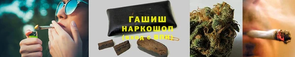 гидра Магас