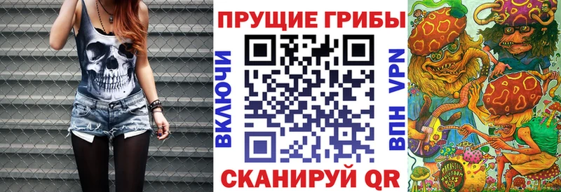 Псилоцибиновые грибы ЛСД  наркотики  omg ССЫЛКА  Сураж 