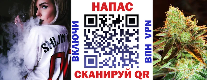 Шишки марихуана марихуана  Сураж 